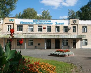 Атака украинских дронов на оборонный завод в Муроме: появились спутниковые снимки с последствиями (фото)