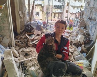 Настоящее чудо: в Киеве спасли кота, который пробыл под завалами 10 часов (фото)