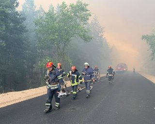 В Луганской области сильный лесной пожар: 4 погибших