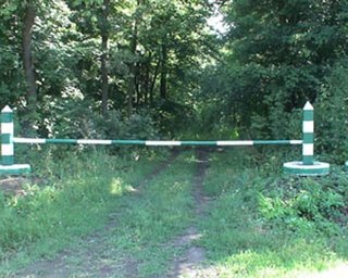 Охотничьи угодья Лозинского переданы областным властям