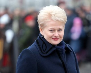 Литва считает авиакатастрофу в Донбассе "жестоким терактом"