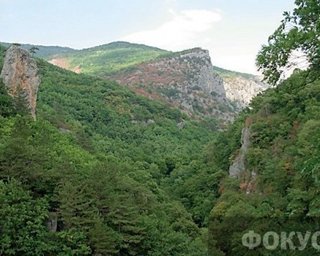 Пожары: заповедники и парки Крыма закрыты для посещений 