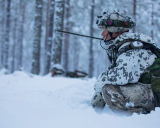 Пам'ятають уроки історії. Фінляндія змінює оборонну стратегію та вступає в НАТО