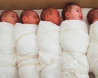 Исследование: Каждый десятый младенец на юге Португалии - украинец