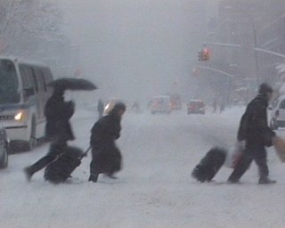 В Киеве объявлено штормовое предупреждение