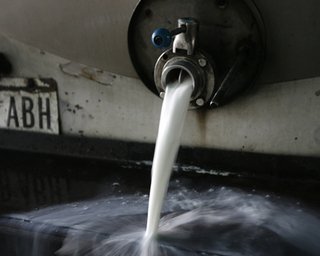 Онищенко заявил, что Литва политизирует ситуацию с молочными продуктами