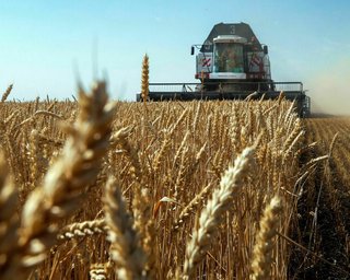 "Нужно до конца года": Польша предлагает продлить запрет на импорт украинской агропродукции