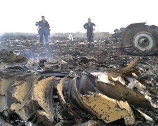 На борту сбитого боевиками Boeing были пассажиры из 9 стран