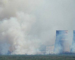 Запорожская АЭС в дыму: возле порта станции произошел пожар, береговая линия заминирована (фото)