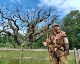В Великобритании погиб 1200-летний дуб Робин Гуда (видео)