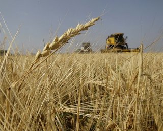 Конкуренция со стороны Украины может вынудить Россию сократить экспорт зерна