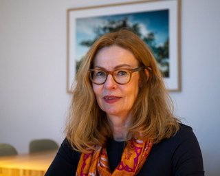Схемы с участием Януковича привели к отставке главы Swedbank