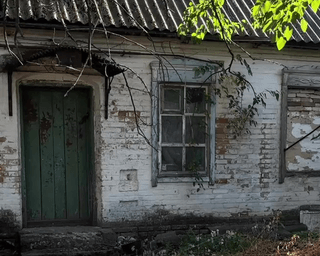 7 комнат и конюшня: украинка купила дом в селе, где раньше была немецкая колония (фото)