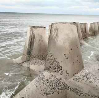 В Одесской области шторм уничтожает сооружения против десанта РФ: ученый бьет тревогу