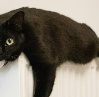 Що робити, коли немає ні опалення, ні світла: 5 способів зігрітися у квартирі взимку