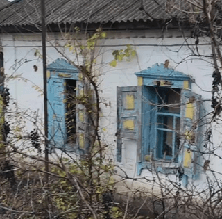 Дівчина купила найгіршу хату в селі за $3 тисячі: вона стояла порожньою 7 років (фото)