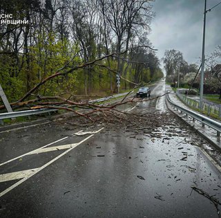 Последствия непогоды в Украине: двое погибших, более 1000 населенных пунктов без света (фото, видео)