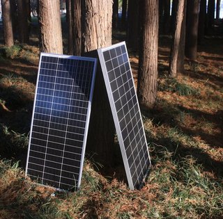 Солнечные панели люди выбрасывают тоннами: ученые пояснили, в чем их опасность