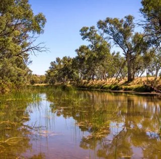 Найдавніша у світі річка існує вже 400 мільйонів років: де вона розташована (фото)