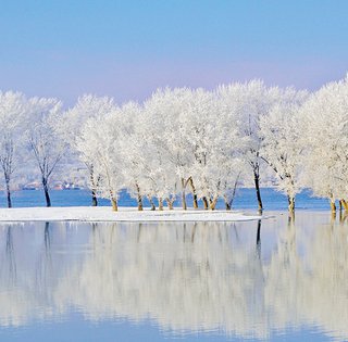 C видом на Дунай. Что посмотреть в румынском городке Браила