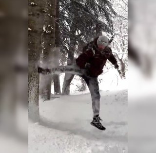 Мужчина решил проверить дерево: снег проверил его в ответ (видео)