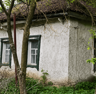 Украинцы купили худшую хату в селе: прошло 3 года, — теперь ее не узнать (фото)