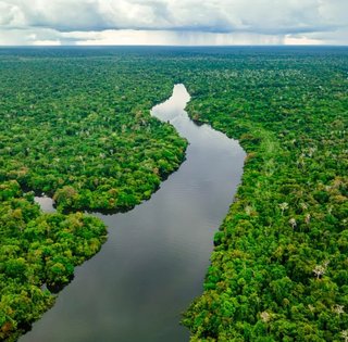 В Амазонії знайдено 350 км стародавніх доріг: 2700 років тому їх побудували кваліфіковані інженери