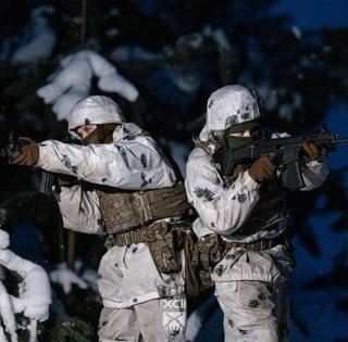 Контрнаступление в Запорожской области: чего достигли ВСУ под Гуляйполем