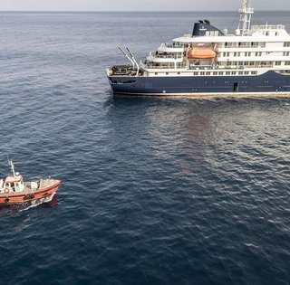 Можно вылечиться: в Украине другие хантавирусы, чем на лайнере, — ЦОЗ