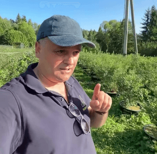 Посадив й став мільйонером: українець додумався, як заробляти у Карпатах (фото)