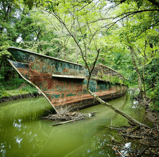 Военная история, Эдисон и Мадонна: что скрывает корабль-призрак в болотах (фото, видео)