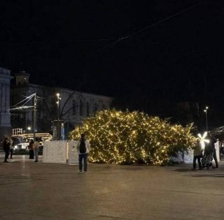 По сети разлетелись фото упавшей елки во Львове: в мэрии ответили
