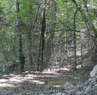 Тільки для обраних: інсайдер розповів невідомі деталі про таємний "Богемський клуб" (фото)