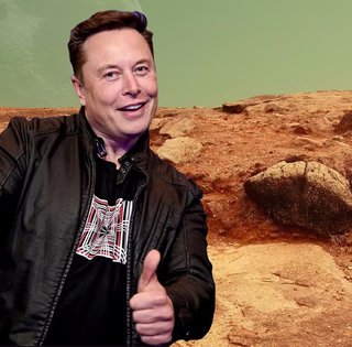 Провокация Маска обернулась скандалом: польский министр очень далеко послал миллиардера