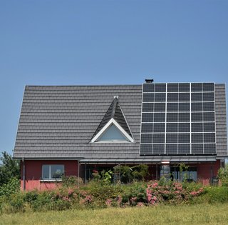 У Нідерландах мріють позбутися сонячних панелей: вони приносять колосальні збитки