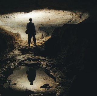 63 дня в ледяном заточении: проведя два месяца в пещере геолог открыл новую область биологии