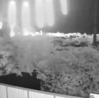 В сети показали удар второй ракеты "Орешник" РФ под Донецком: что сказал Игнат (видео)