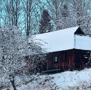 Украинка купила гнилой дом вдали от цивилизации, но ей все завидуют (фото)