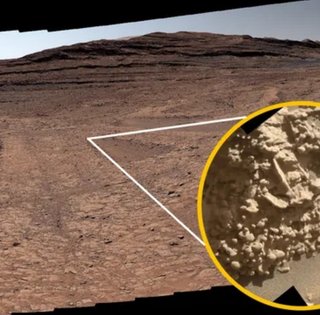 На Марсе снова нашли необъяснимое: это похоже на яйца пауков (фото)