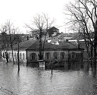 Діти світу. Що трапилося з українськими менонітами