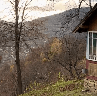 Українці живуть у покинутій садибі в Карпатах: тепер їм заздрять мільйони (фото)