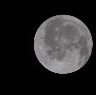 Астронавти місії "Артеміда-2" прибули до Місяця: він не такий, як вони очікували (фото)