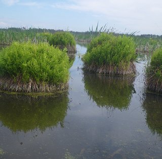Затерянный мир. Дикий и загадочный Ирдынь