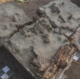 Останки принадлежали не человеку: археологи нашли неординарное захоронение в Швеции (фото)