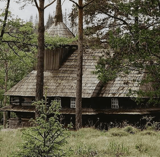Застигло у часі: посеред Карпат знайшли село, якого немає на мапах (фото)