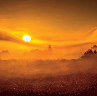 Дети солнца. Откуда пришли и куда идут украинские солнцепоклонники