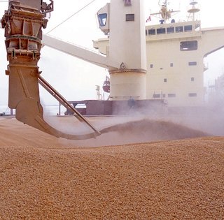 "Это не доказательства": в Израиле ответили на заявление Украины относительно судна с краденым зерном