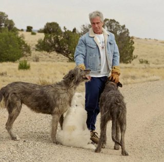 Эпштейн построил "тайный крематорий" на своем ранчо, — The Sun (видео)