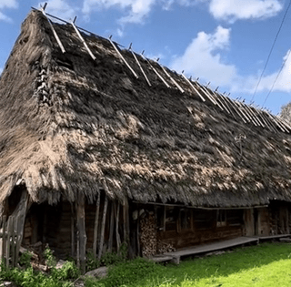 Такого еще не видел: мужчина нашел в Карпатах дом, где 100 лет назад "остановилось время"