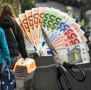 Европа закручивает гайки: когда украинцам придется возвращаться домой